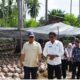 Kemenkes & Pemprov Kepri Genjot 39 Ribu Bibit Kelapa Unggul di Natuna, Dongkrak Ekonomi Perbatasan