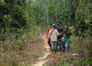 Tim SAR Natuna dan warga lokal mengevakuasi empat warga yang tersesat di kawasan Hutan Gunung Bedung.