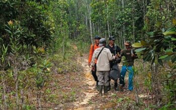 Saat Bunga Semangkok Hampir Membayar Nyawa, Cerita 4 Warga Natuna Terjebak di Gunung Bedung