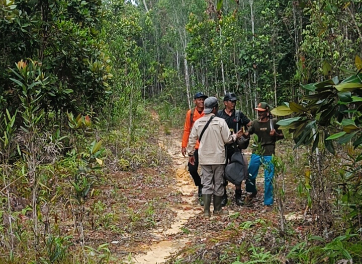 Tim SAR Natuna dan warga lokal mengevakuasi empat warga yang tersesat di kawasan Hutan Gunung Bedung.