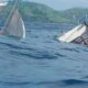 KM Putra Buluh Ditabrak Kapal Kargo di Perairan Bintan: Kapal Terbelah Dua, 4 ABK Hilang dan 1 Selamat