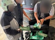 Petugas Bea Cukai Batam menyita puluhan ribu batang rokok ilegal merek Manchester dan H-Mild dalam Operasi ASAP.