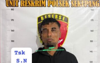 Penumpang Gigit Telinga Driver Ojol di Sekupang Batam Lalu Bawa Kabur Motor, Pelaku Dibekuk Kurang dari 12 Jam