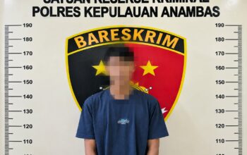 Polisi Tangkap Pria di Anambas Usai Setubuhi Anak Dibawah Umur, Modus Iming-Iming Ponsel