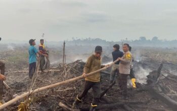 Tim gabungan TNI-Polri dan BPBD memadamkan karhutla di lahan gambut Desa Kudung Lingga.