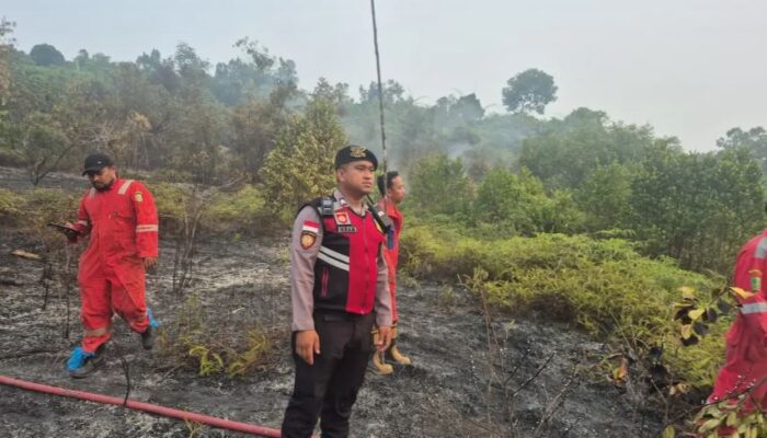 Hutan Resapan Dam Duriangkang Terbakar, Pasokan Air Bersih Batam Terancam?