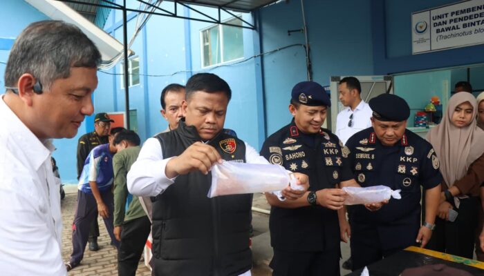 Pakai Gran Max dan Ponsel Mewah, Modus Operandi Penyelundup Lobster Terbongkar di Batam