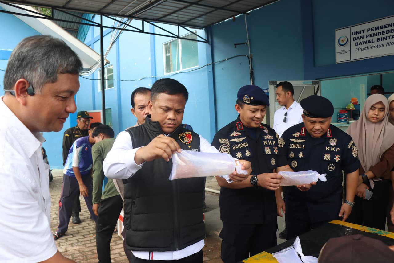 Barang bukti kotak benih lobster hasil penindakan Bareskrim Polri di BPBL Batam