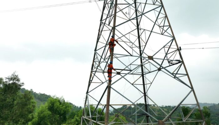Bintan Masih Sebagian Pulih Usai Blackout Batam, PLN Ungkap Progres Pemulihan Listrik